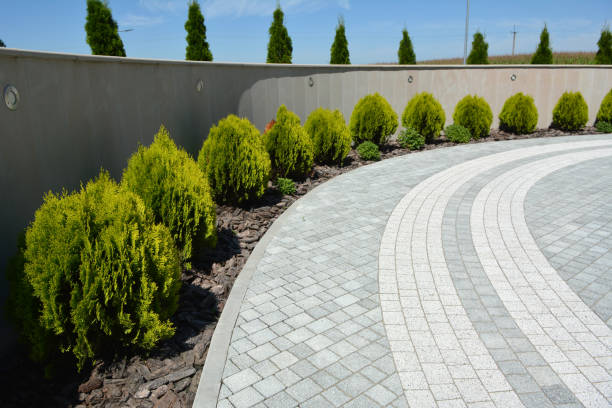 Best Professional Driveway Pavers  in Braddock Hills, PA